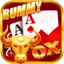 rummy all app yono